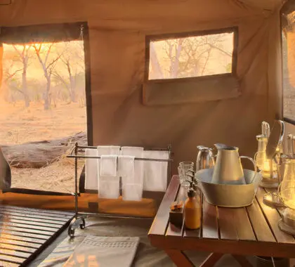Acampar cómodamente con duchas de agua caliente.