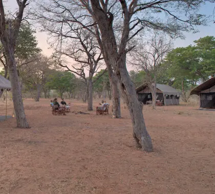 Chobe Under Canvas es un auténtico campamento de safari con tiendas.