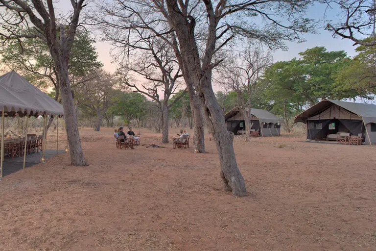 Chobe Under Canvas is an authentic tented safari camp.
