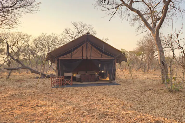 An authentic African safari experience.