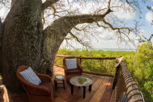 Take some time out on the deck to have some afternoon tea and admire the view.