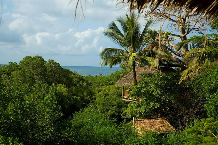 chole-mjini-treehouse-lodge-22