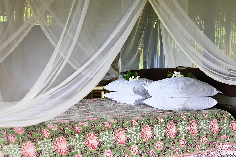 chole-mjini-treehouse-lodge-23