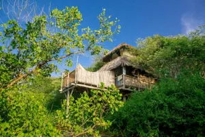 One of six private tree houses that provide for a romantic and memorable experience.