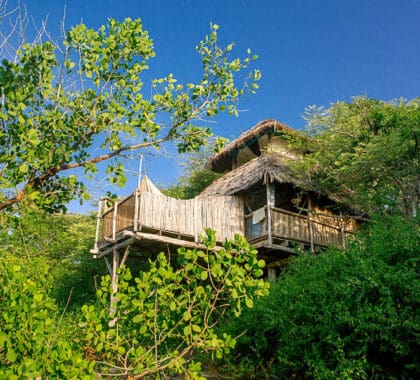 Una de las seis casas en los árboles privadas que ofrecen una experiencia romántica y memorable.