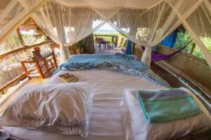 The six tree houses are each unique but all have a wrap-around verandah with spectacular views.