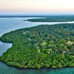 Tucked into the tree canopy, Chole Mjini offers both panoramic views & complete privacy