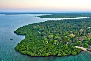 Tucked into the tree canopy, Chole Mjini offers both panoramic views & complete privacy