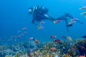 Explore the underworld and go scuba diving along the reef just off of the island.