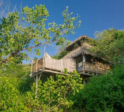 One of six private tree houses that provide for a romantic and memorable experience.
