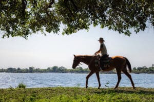 Paseos a caballo en Chundukwa.