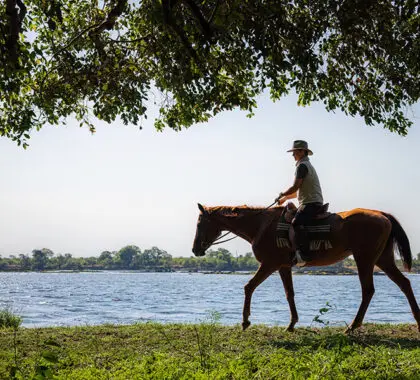 Paseos a caballo en Chundukwa.