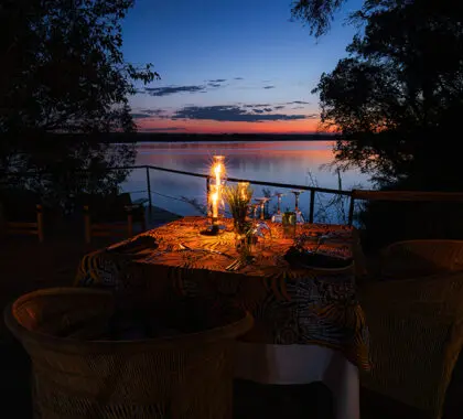 Una cena romántica en la terraza. 