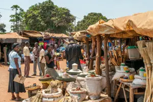 Take a day trip to Victoria Falls and enjoy the markets for some shopping. 