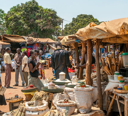 Take a day trip to Victoria Falls and enjoy the markets for some shopping. 
