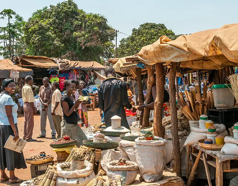 Take a day trip to Victoria Falls and enjoy the markets for some shopping. 