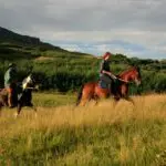 Explore the beautiful surrounding while going for a horse riding trip.
