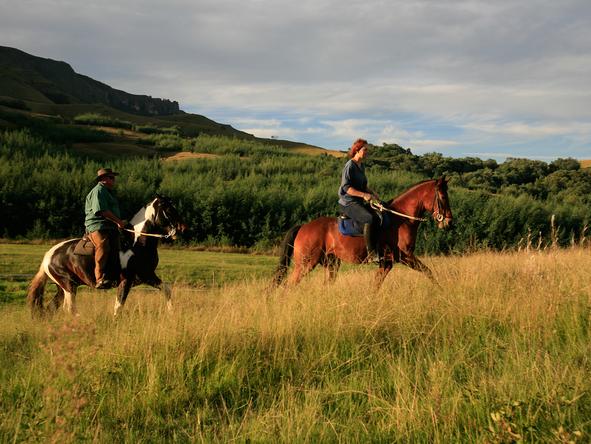 Explore the beautiful surrounding while going for a horse riding trip.

