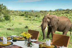 A special guest appearing before lunch.