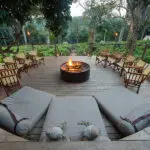 In the heart of a pristine forest.