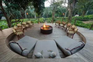 In the heart of a pristine forest.