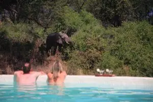 Refrésquese en la piscina y déjese rodear por la vida salvaje.