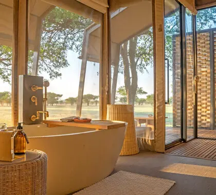 Baño con vistas.