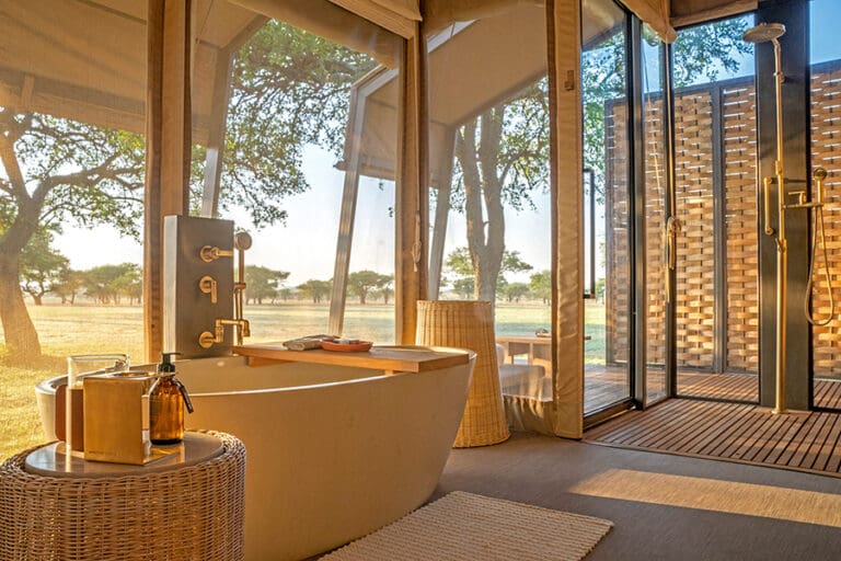 Bath with a view.