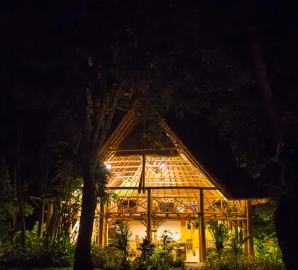 Kibale Forest Camp lit up at night. 