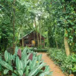 Su alojamiento se encuentra en plena naturaleza.