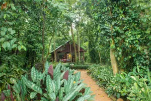 Su alojamiento se encuentra en plena naturaleza. 