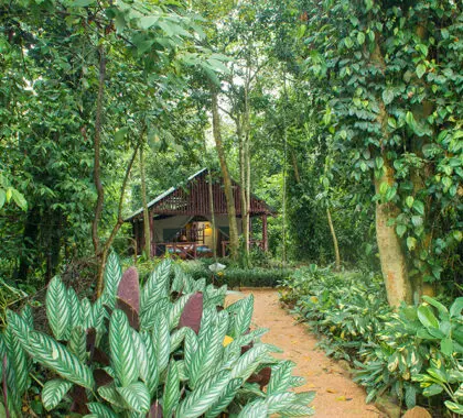 Your accommodation is set right in the heart of nature. 