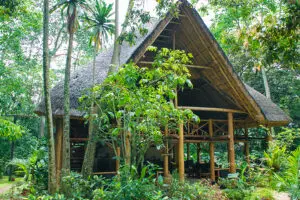 La zona principal del campamento. 