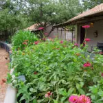 Each chalet has its own small vegetable and herb garden, and private patio from which to enjoy the picturesque surroundings.