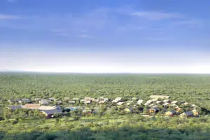 Built in a semi-circle of interlinking paths, the lodge is situated at the heart of a mopane and acacia forest – far away from all the hustle and bustle.
