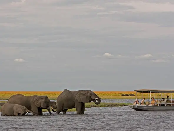 day4_5_chobe