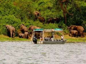 Boat ride.