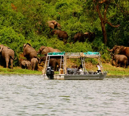 Boat ride.