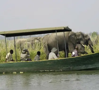River safaris.