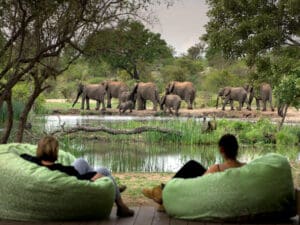 day6_thandatula_waterhole