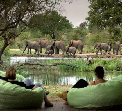 day6_thandatula_waterhole