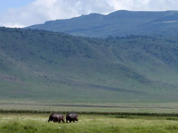 día9_lemala-ngorongoro