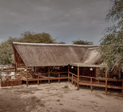 El Deception Valley Lodge está situado en medio del Kalahari virgen, una zona que recibe muy pocos visitantes al año.