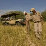 Knowledgeable, local guides read the signs of the bush to track wildlife for the best possible sightings!