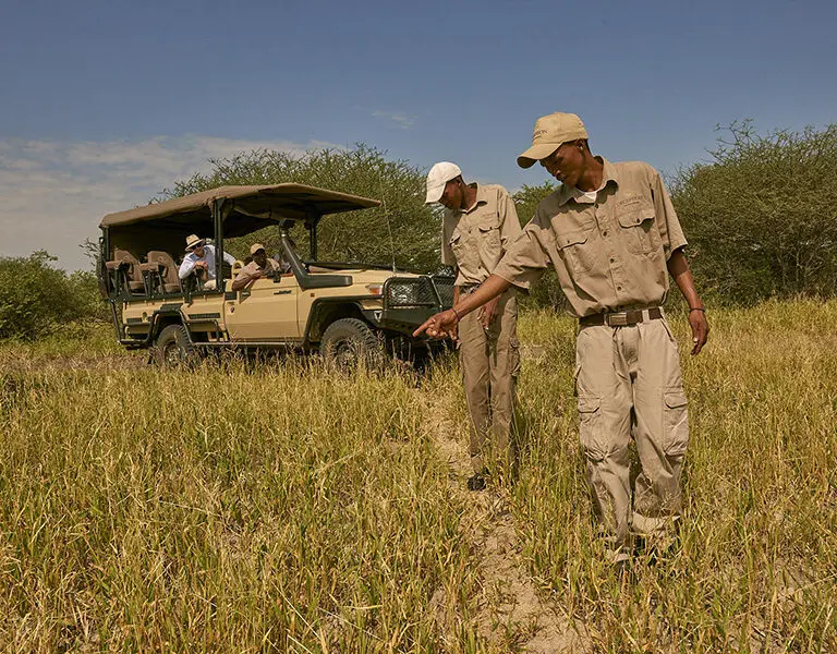 Los guías locales, expertos en la materia, leen las señales de la sabana para seguir el rastro de la vida salvaje y obtener los mejores avistamientos posibles.
