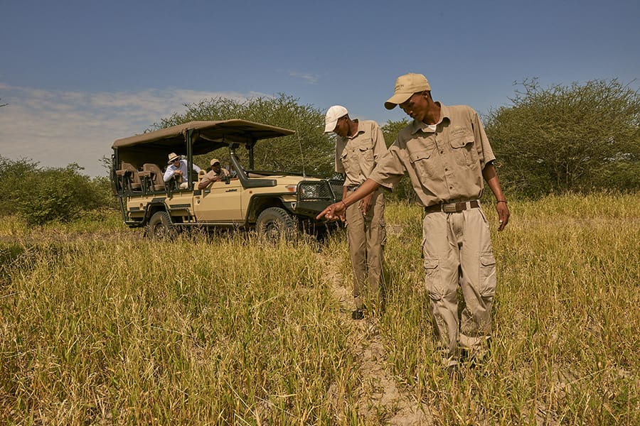 Los guías locales, expertos en la materia, leen las señales de la sabana para seguir el rastro de la vida salvaje y obtener los mejores avistamientos posibles.