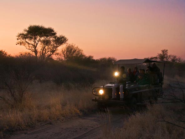 Being on a private game reserve means you can enjoy additional activities such as night drives and guided walking safaris.