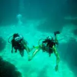 Enjoy exceptional scuba diving off the coast of Denis Private Island.