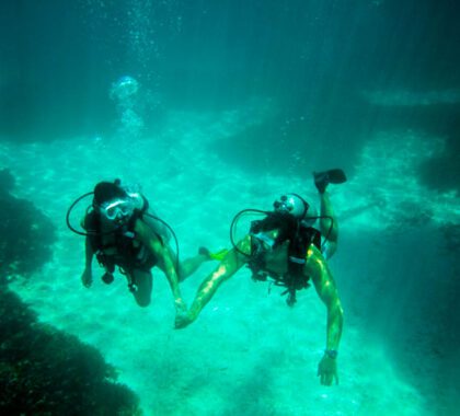Enjoy exceptional scuba diving off the coast of Denis Private Island.