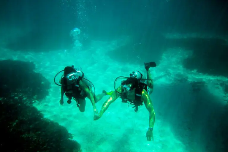 Enjoy exceptional scuba diving off the coast of Denis Private Island.